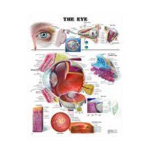 Eye Chart