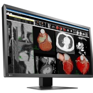 Radiforce MX317W